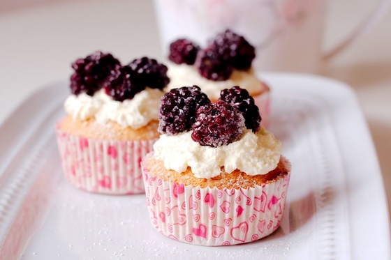 Bakkerijemulgators - de Verbeteraar/de Emulgator van de Samenstellingscake - Wit Poeder - GB2760