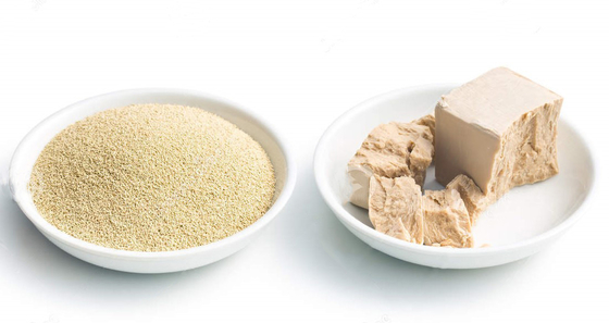 E471 het Monoglyceride van de Voedselemulgator GMS 50% voor cake, brood, banketbakkerij