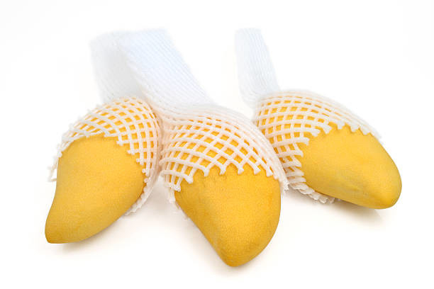 Wit poeder gedistilleerd glycerine monostearaat 23-94-4 voor fruitbedekking